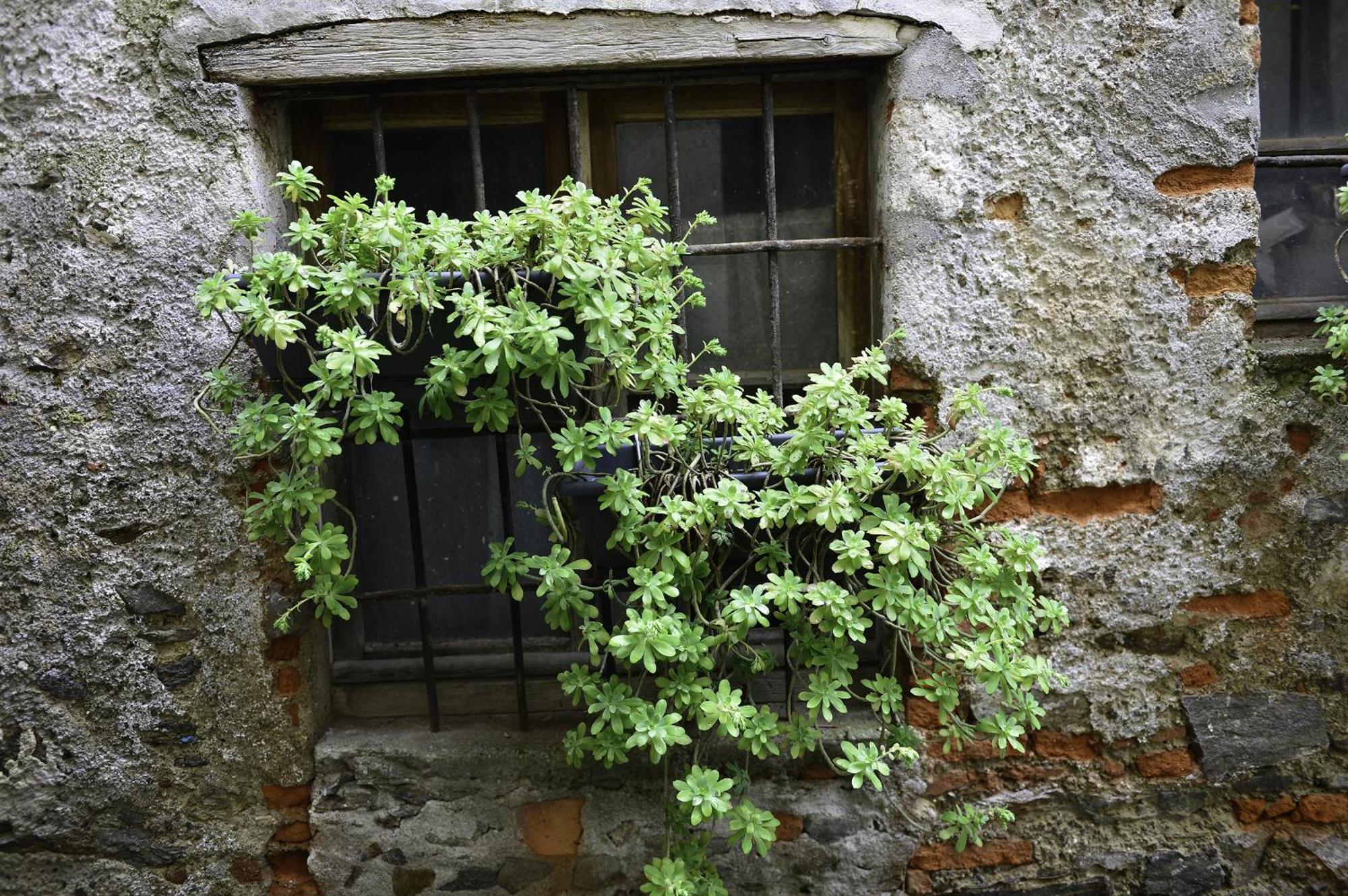 Apartamento A Casa Di Sole Brovello Exterior foto